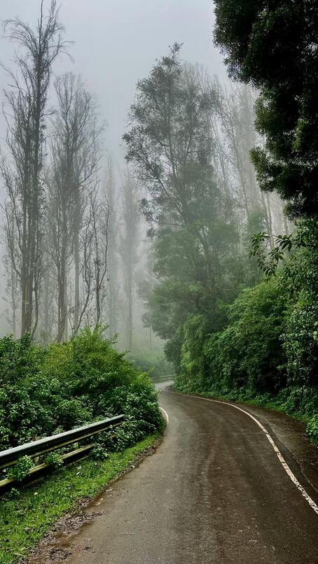 ooty