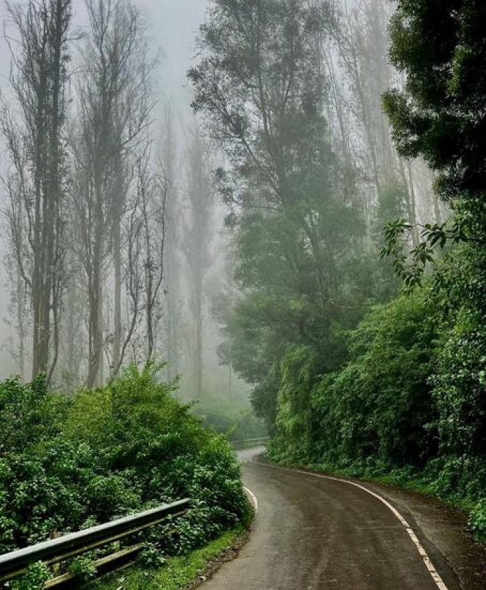 ooty